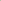Tulip white - RoseForAll