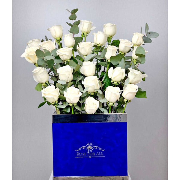 Blue&white - RoseForAll