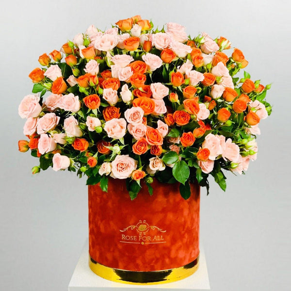 Orange Desire - RoseForAll