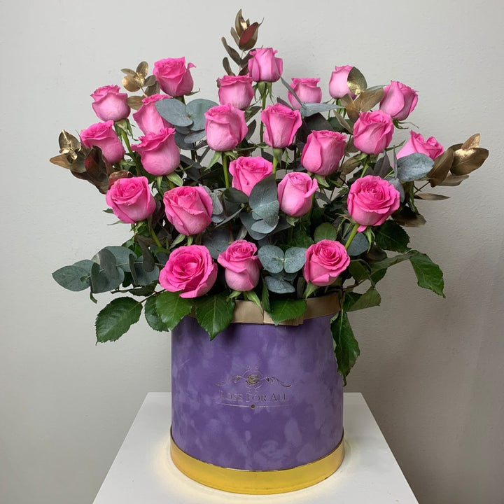 Purple&Pink - RoseForAll