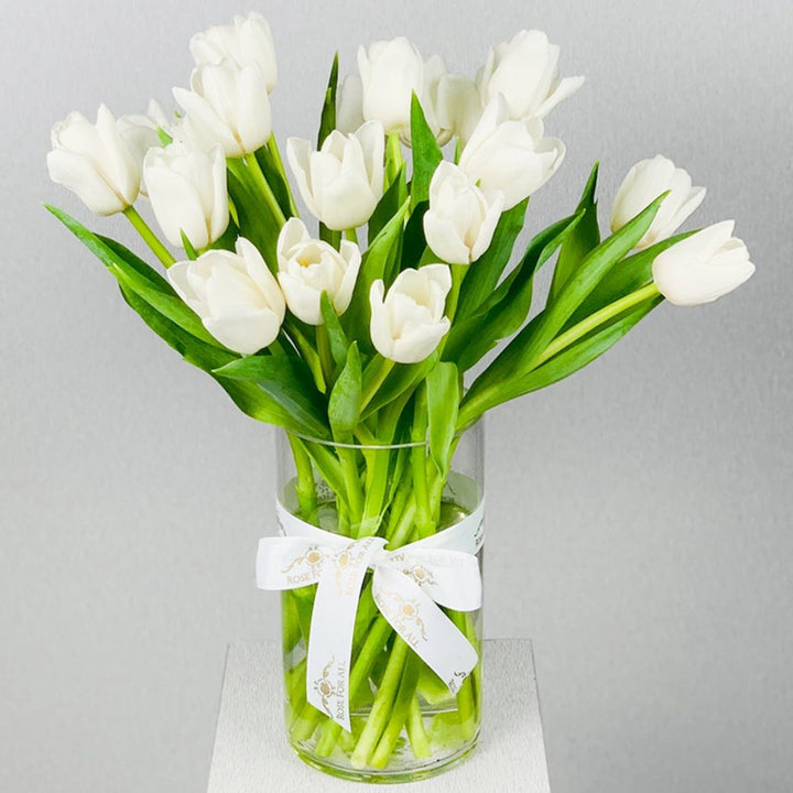 Tulip white - RoseForAll