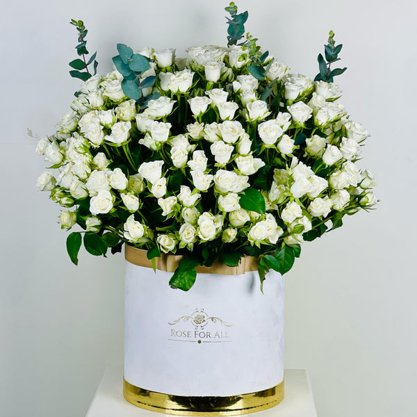 White paradise