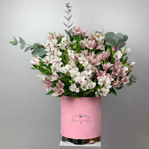 alstro pink mix - RoseForAll